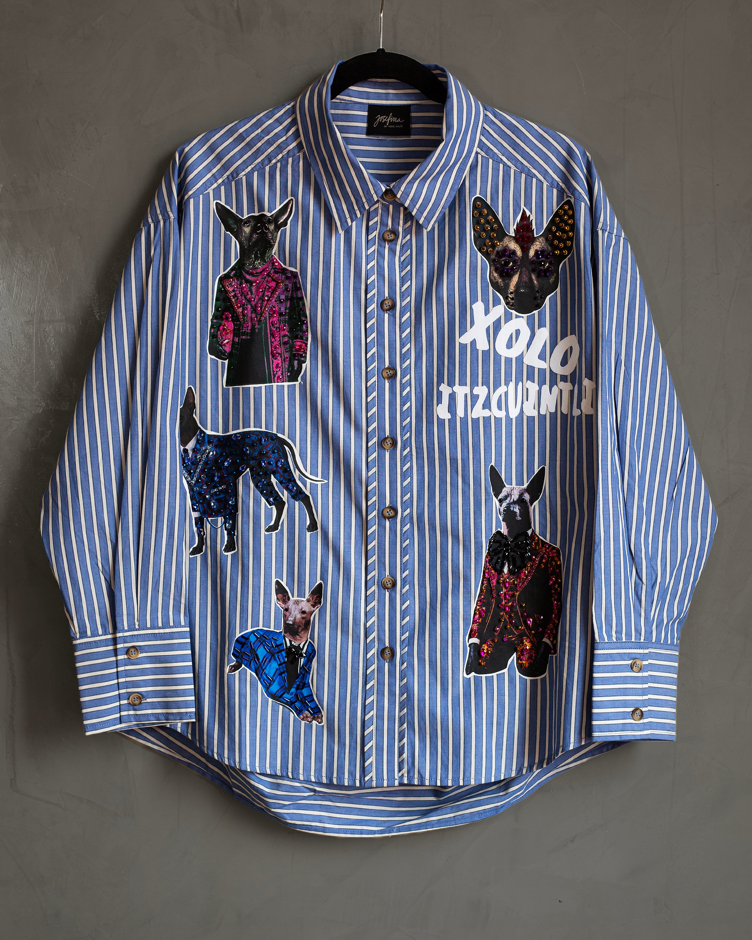 Camisera rayas celeste con xolos