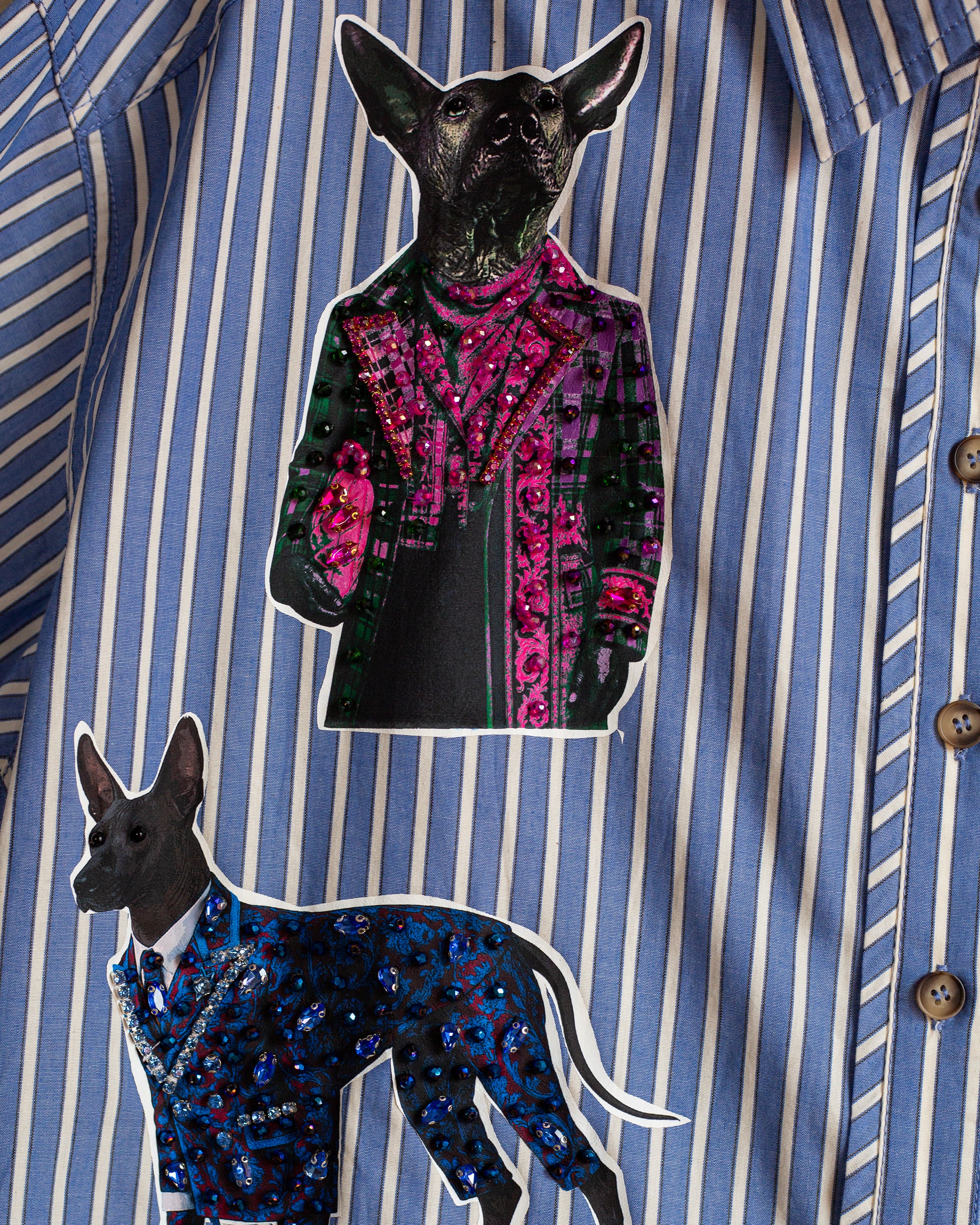 Camisera rayas celeste con xolos