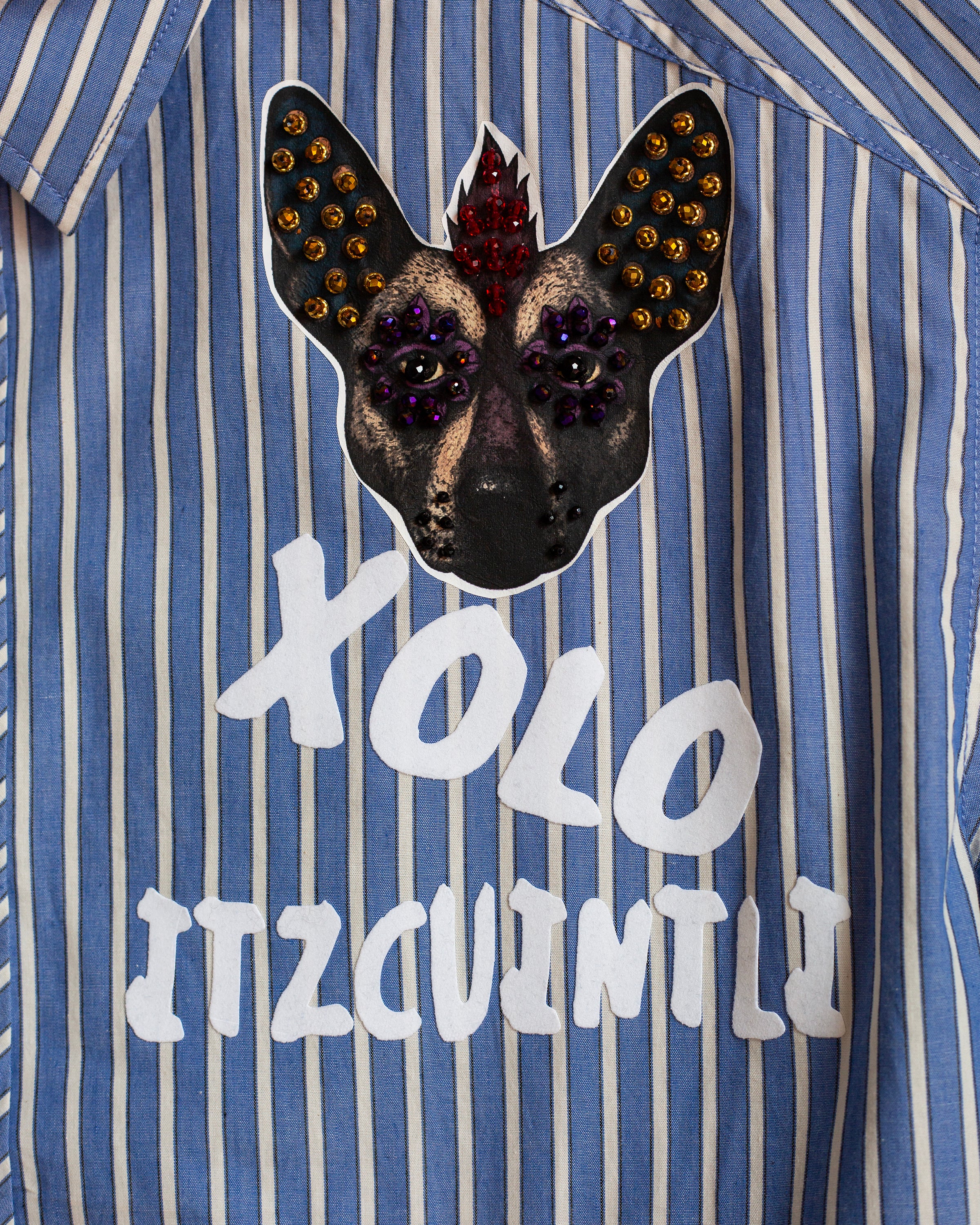 Camisera rayas celeste con xolos
