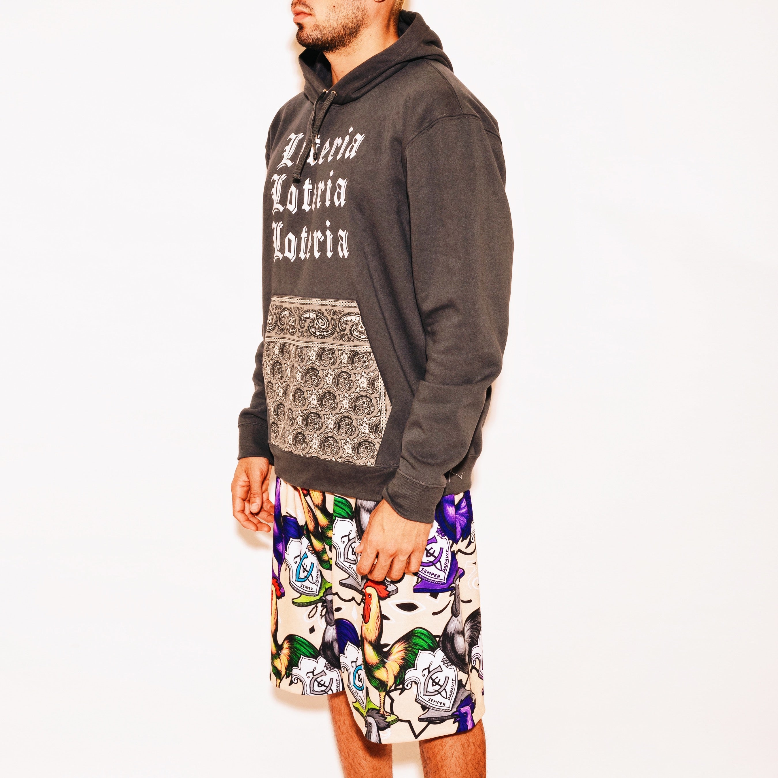 Hoodie gris Mexican Chic