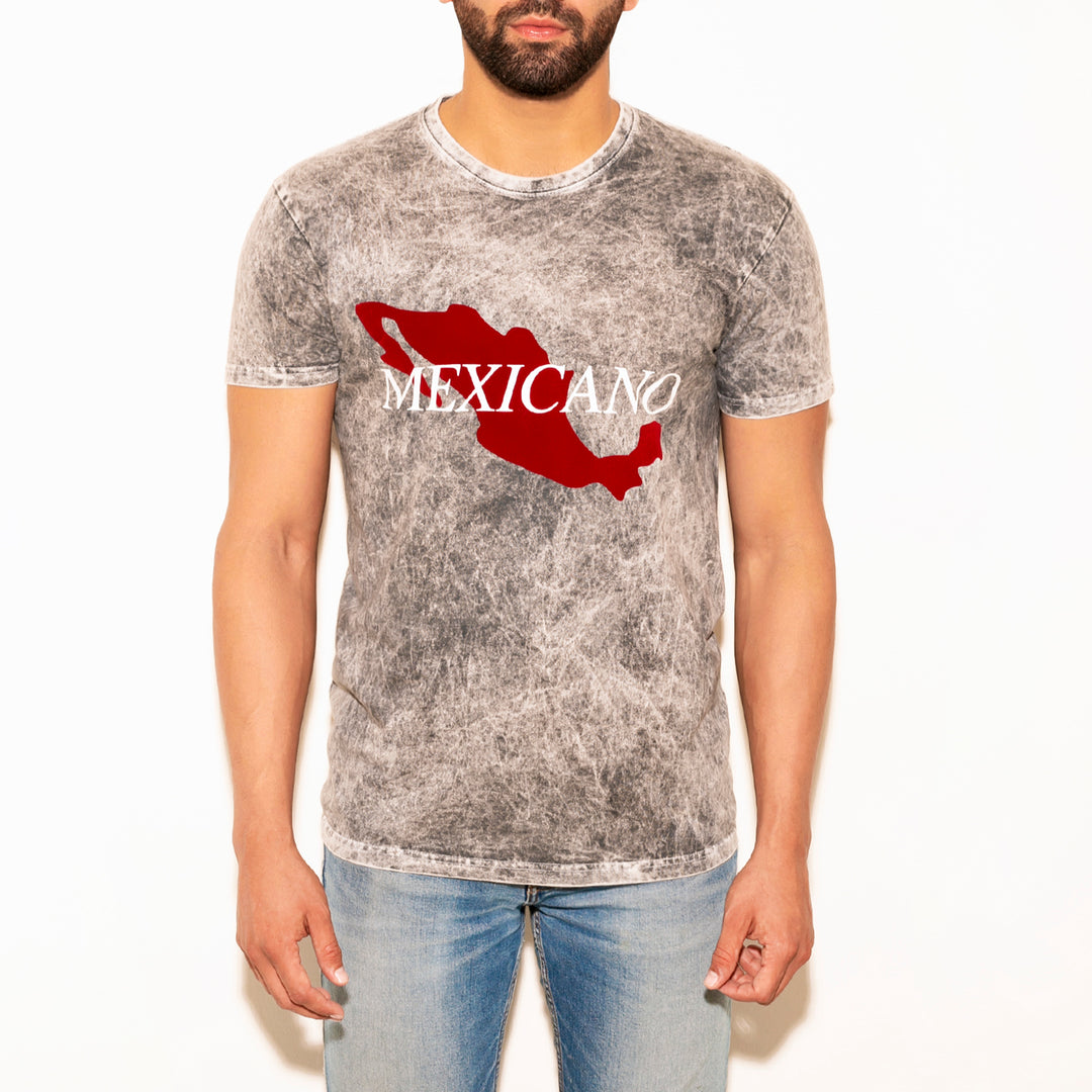 Ripped Tee gris stone wash Mexicano