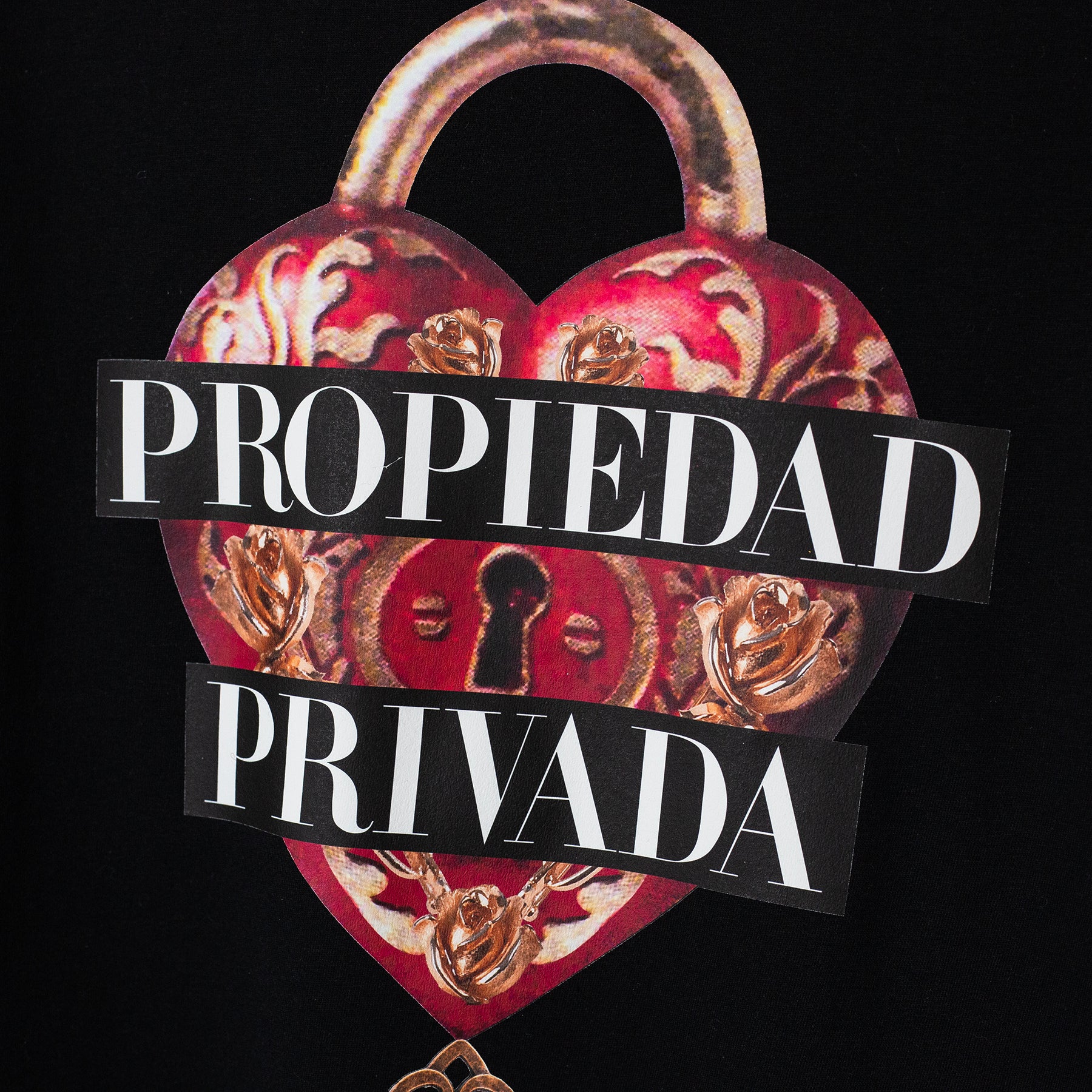 T SHIRT NEGRA PROPIEDAD PRIVADA