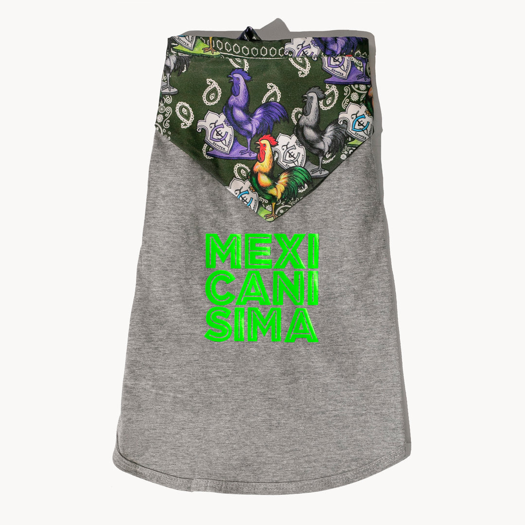 TSHIRT GRIS MEXICANÍSIMO CON BANDANA