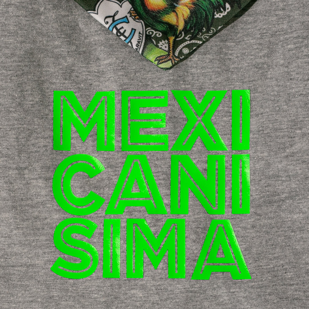 TSHIRT GRIS MEXICANÍSIMO CON BANDANA